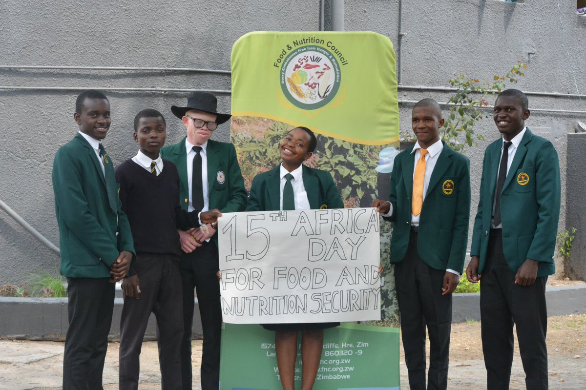 Food and Nutrition Council Zimbabwe tweet media