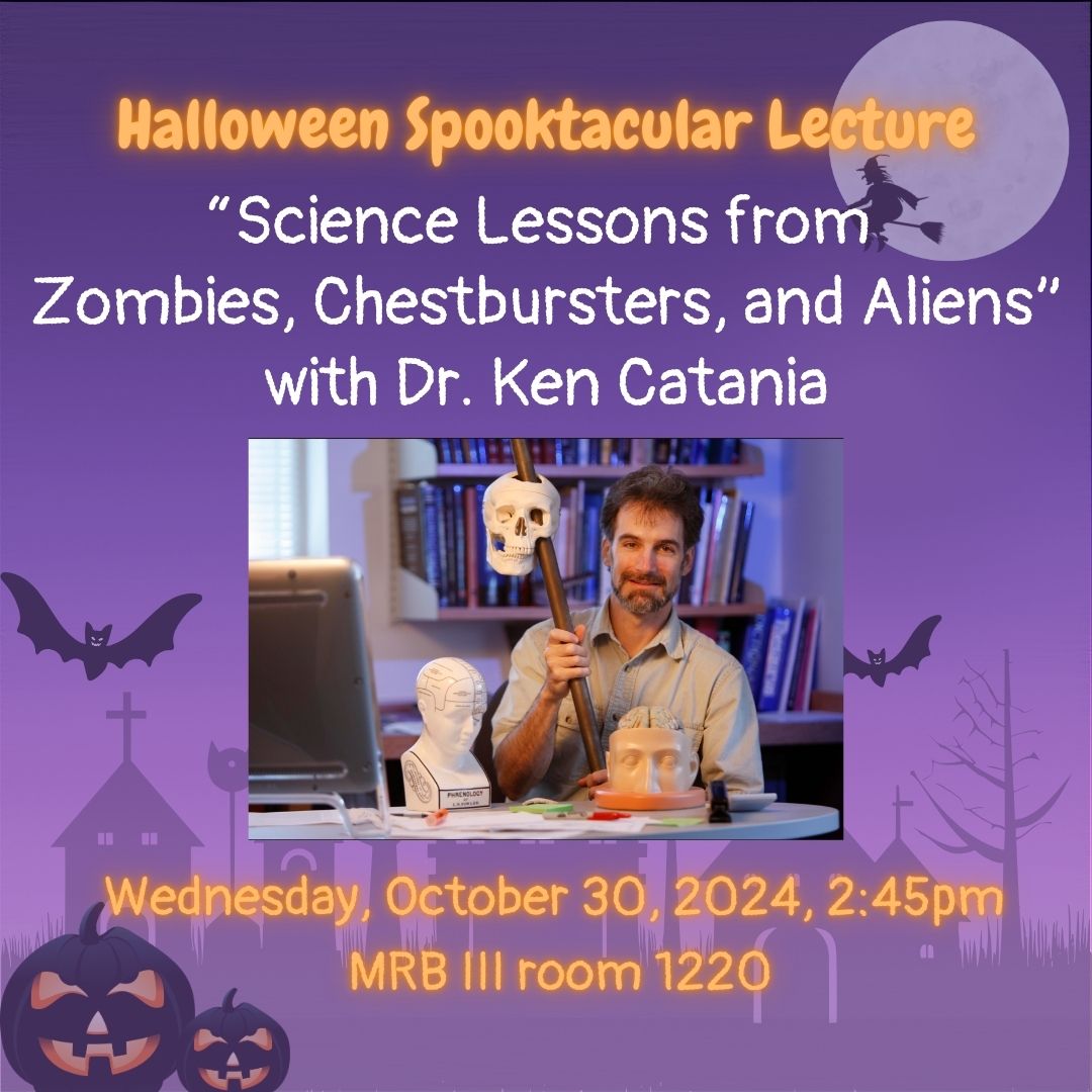 EvolutionVU's tweet image. 🎃👻 Today&apos;s the day for professor Ken Catania’s Halloween Talk! 🎃 Join us at 2:45pm for &quot;Science Lessons from Zombies, Chestbursters, and Aliens.&quot; Don’t miss out on this spooky science event! 🧠🔬 #HalloweenScience #SpookySTEM #Evolution