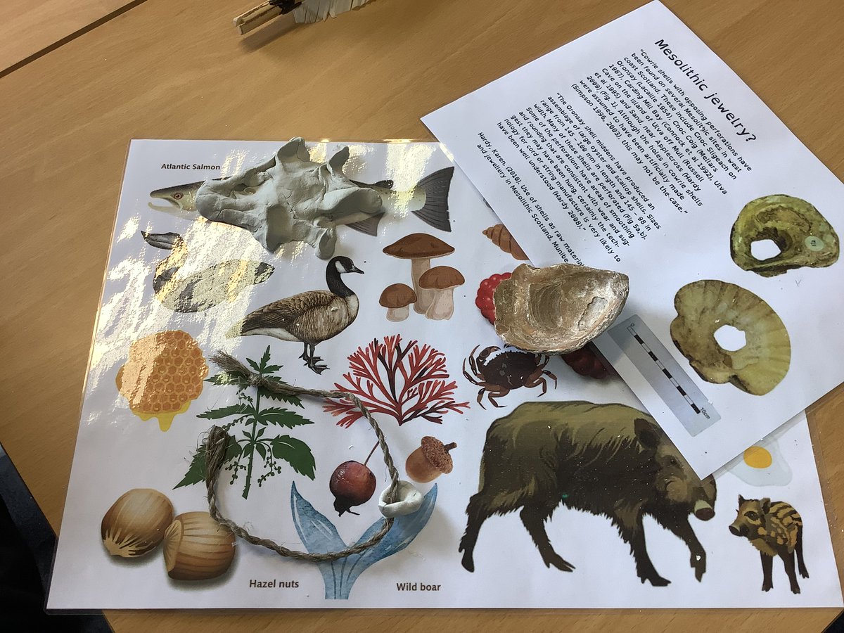Trinity_EPP (@trinityac_esb) on Twitter photo <a href="/ArchScot/">Archaeology Scotland</a> brought in some really interesting artefacts from the Stone Age - some of them were 6,000 years old! Our novel ‘Wolf Brother’ was brought to life and we got a good idea of what life was like at that time #activelearning <a href="/ArchScot/">Archaeology Scotland</a> brought in some really interesting artefacts from the Stone Age - some of them were 6,000 years old! Our novel ‘Wolf Brother’ was brought to life and we got a good idea of what life was like at that time #activelearning