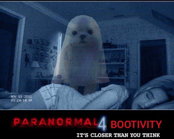 pugrinchsol's tweet photo. @LevisNFT $boo-mornin chad, pre millionaires be are boolish on halloween  @Boo_On_Sol_CTO https://t.co/Ge3P7Vc3Jm