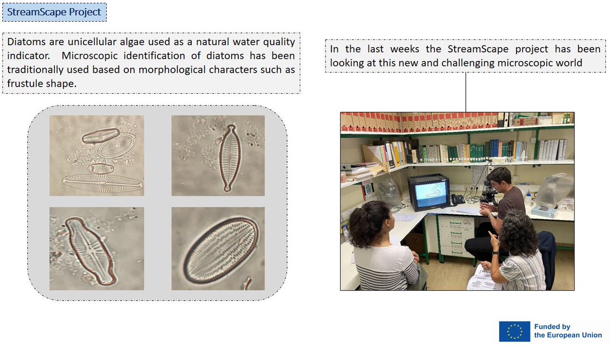 StreamScape is a project funded by the European Union under the Marie Skłodowska-Curie program. One of StreamScape's objectives is to connect people, biodiversity and sustainability in cities.