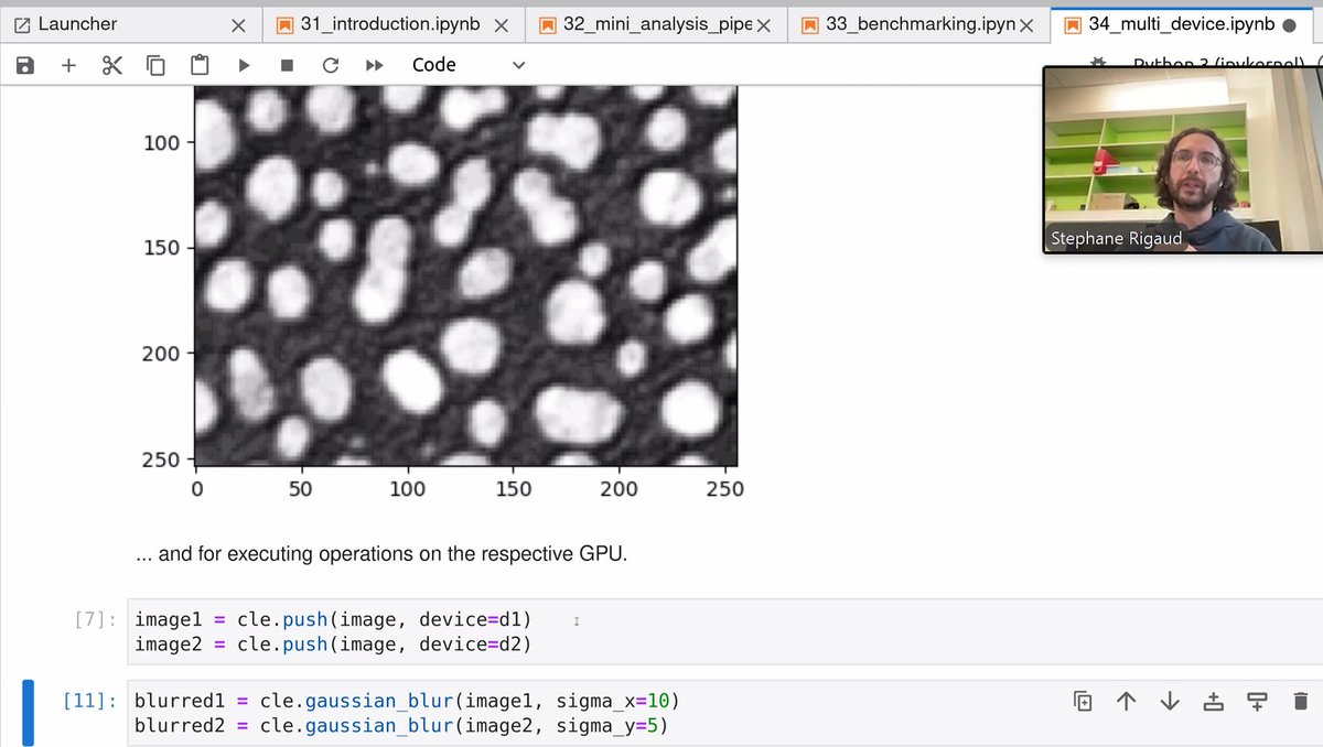 Robert Haase (@haesleinhuepf) on Twitter photo Amazing, <a href="/StRigaud/">Stephane Rigaud</a> is demonstrating multi-GPU support🎉 using #pyclesperanto(without _prototype) for #BioImageAnalysis at #I2K2024(virtual)!🔬🖥️🚀
The notebook is available online #openaccess
github.com/StRigaud/clesp… Amazing, <a href="/StRigaud/">Stephane Rigaud</a> is demonstrating multi-GPU support🎉 using #pyclesperanto(without _prototype) for #BioImageAnalysis at #I2K2024(virtual)!🔬🖥️🚀
The notebook is available online #openaccess
github.com/StRigaud/clesp…