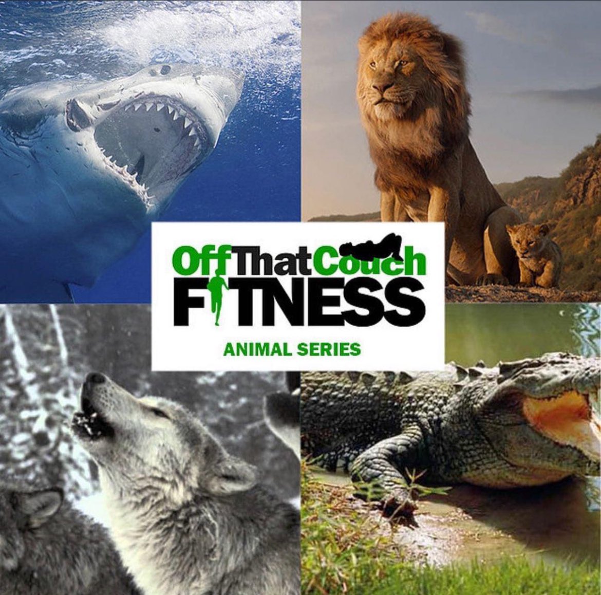 off that couch fitness tweet media