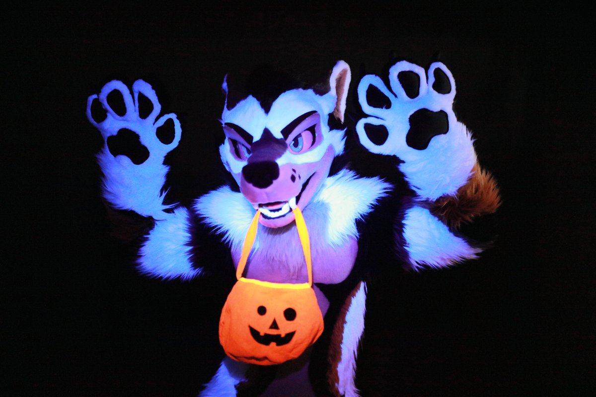 Trick or Treat!
#FursuitEveryday