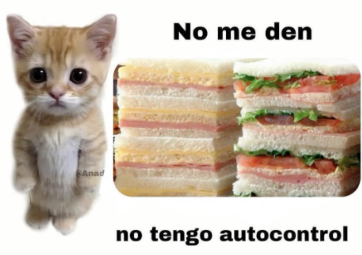 q cosa hermosa son los sanguchitos de miga