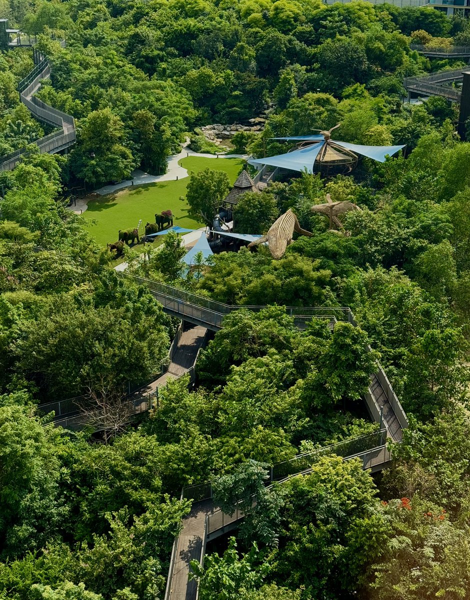 suthathorn sutthison tweet media