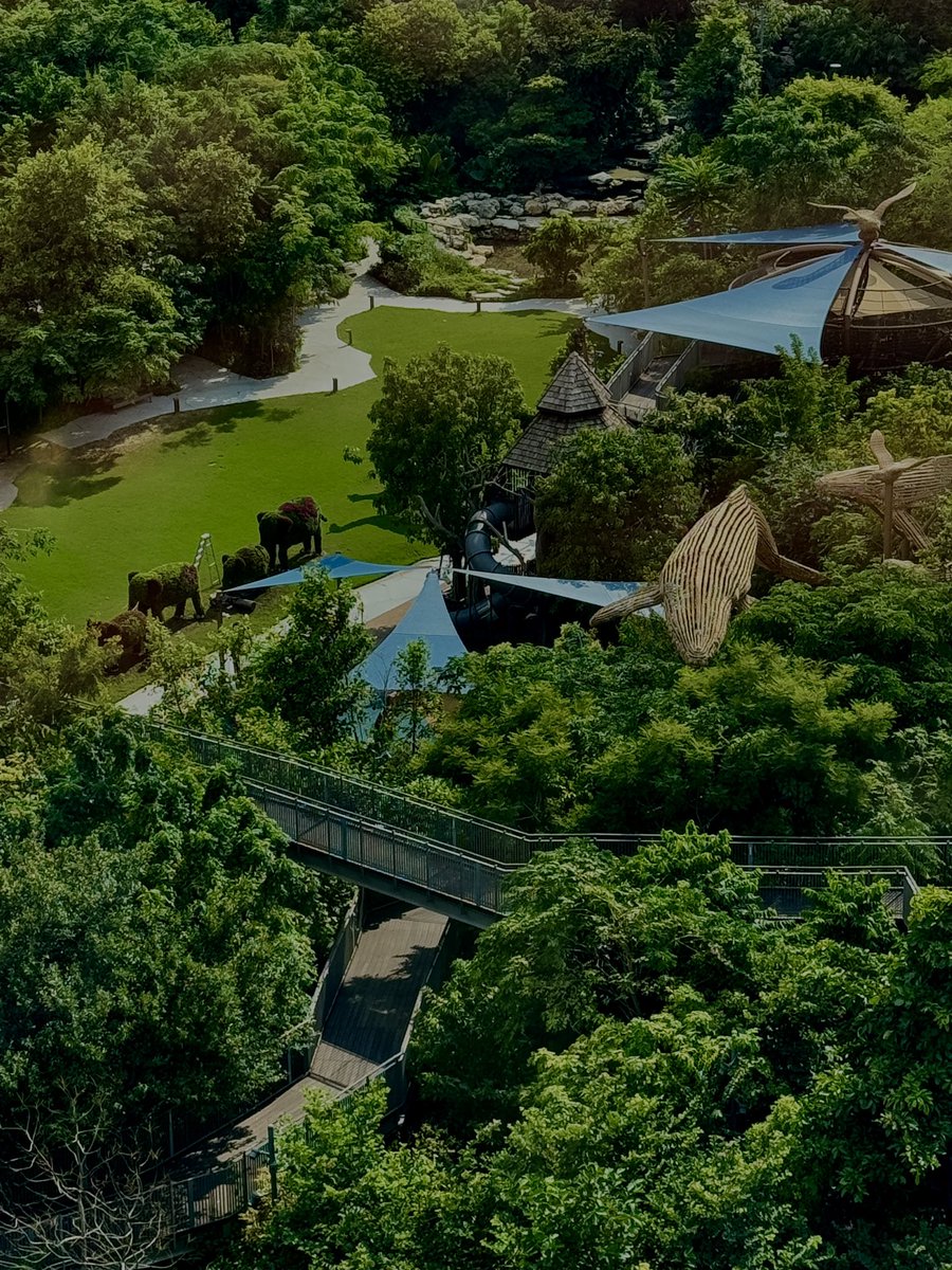 suthathorn sutthison tweet media