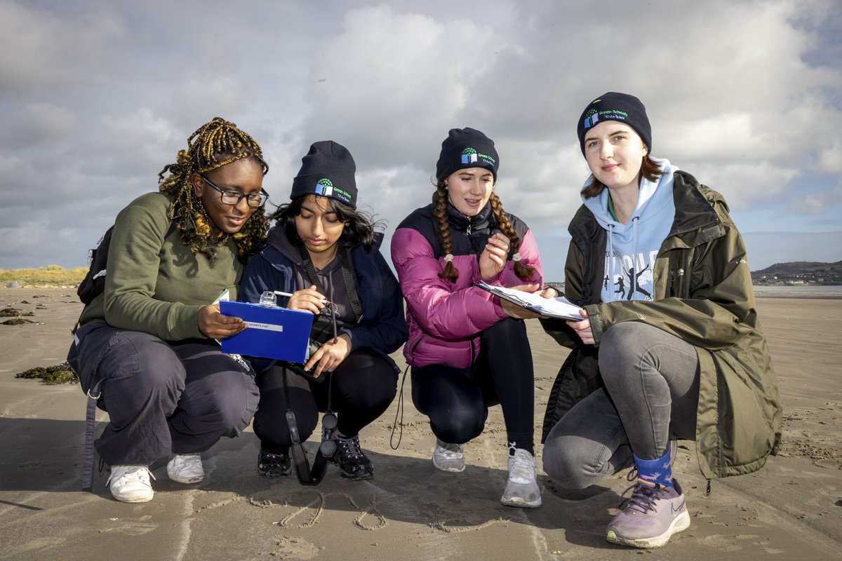 Clean Coasts tweet media