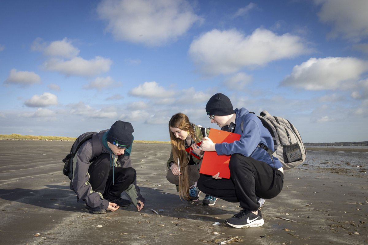 Clean Coasts tweet media