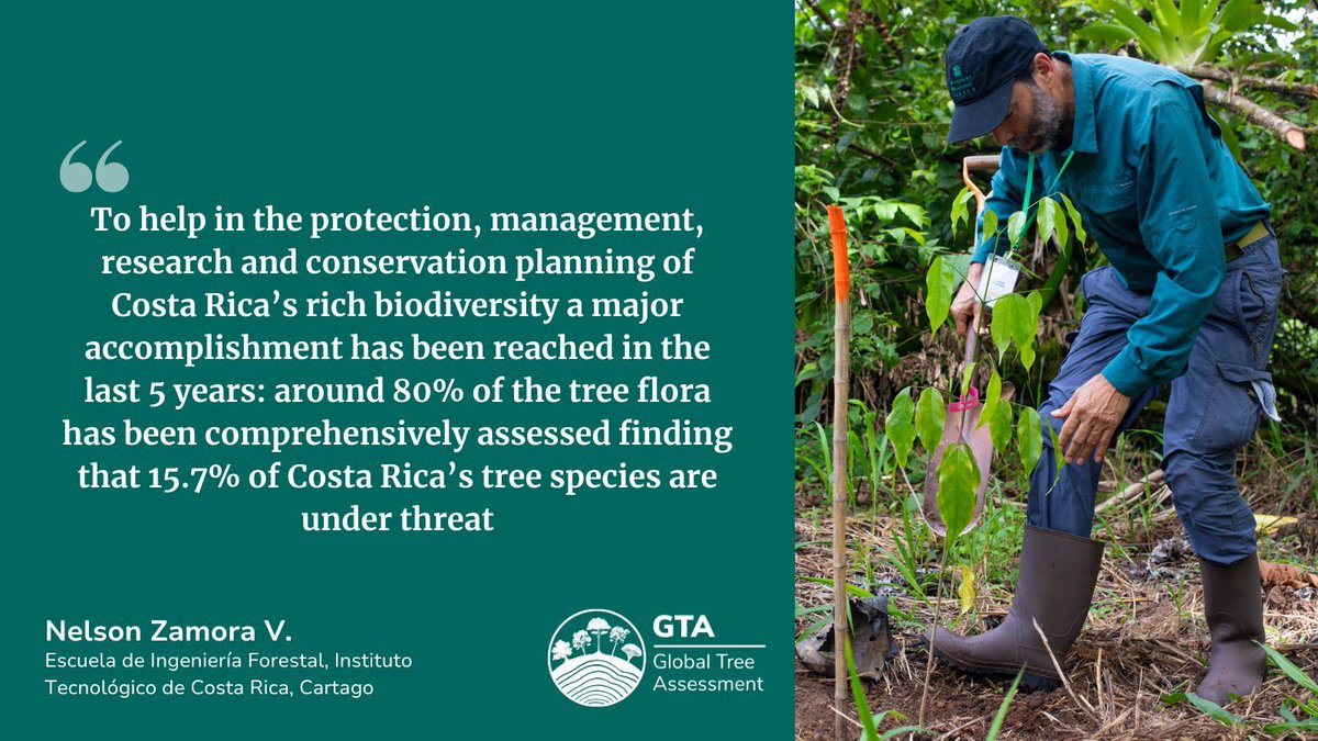 GlobalTreeAssessment tweet media