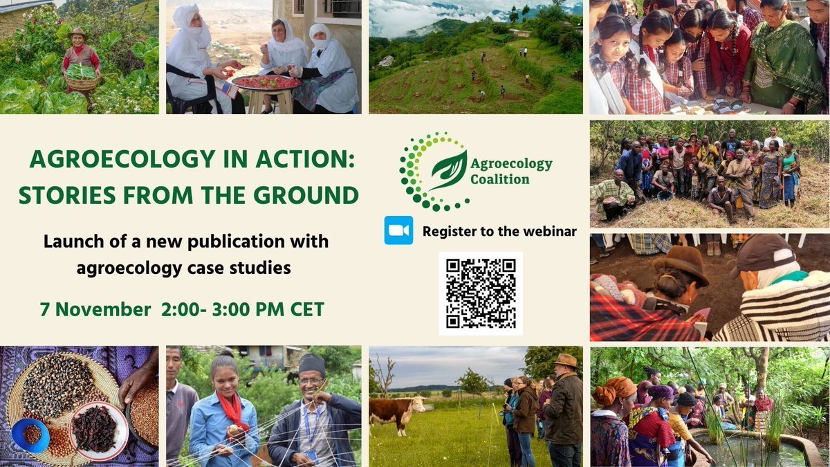 📅   Mark your calendars for our upcoming webinar celebrating the release of the report  “Agroecology in Action: Stories from the ground”. 

⏲️ 7 November 2.00 - 3.00 PM CET 
📍 Register: buff.ly/3YezLdp 
 🔗 Find our more: buff.ly/3WUOQRf