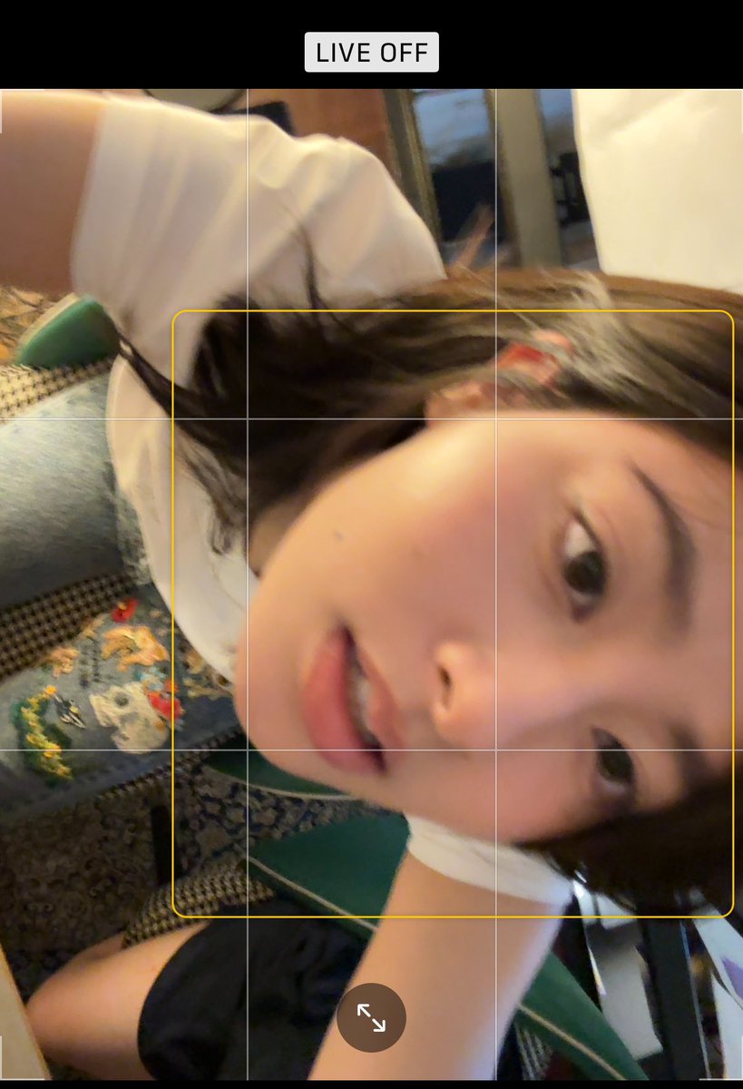 🐈‍⬛ tweet media