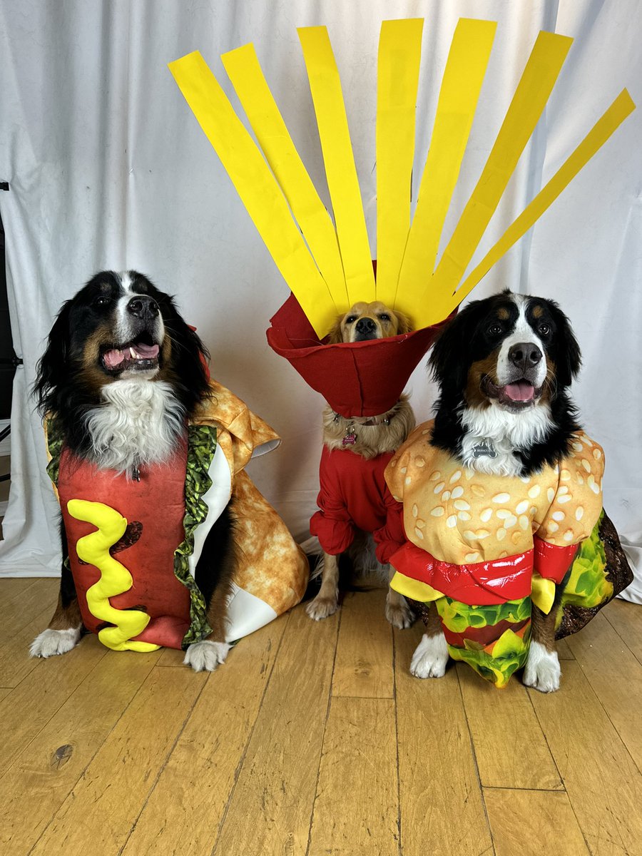 bunsenbernerbmd's tweet photo. Let’s have a Pet Costume Contest!!!

Post a picture of your pet in a costume!

Like and comment on the ones you like best!

We will send some prizes to the top votes (by likes and comments) and also a random prize so anyone who enters could win!!! https://t.co/HorFrDsgEH