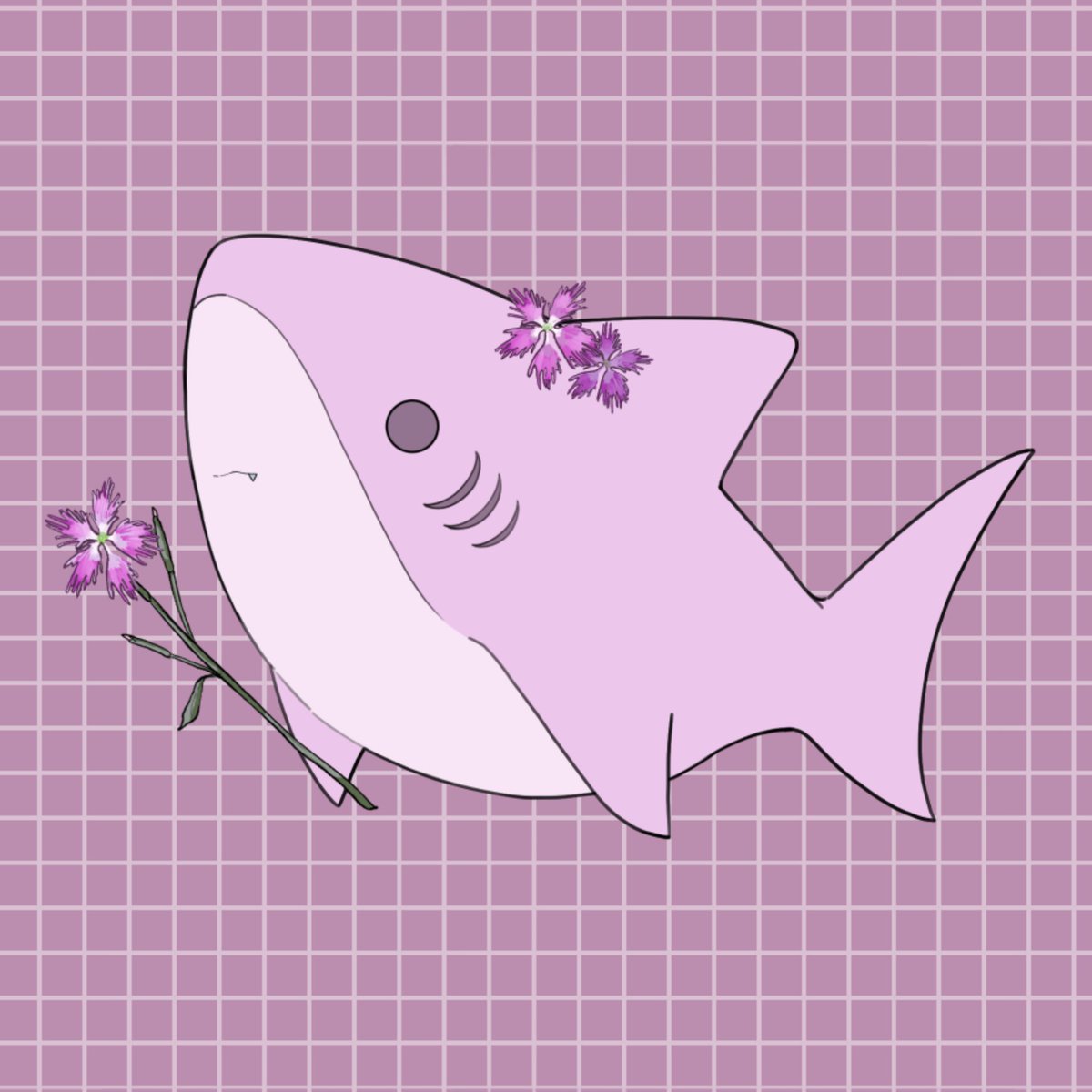 ナデシコ 