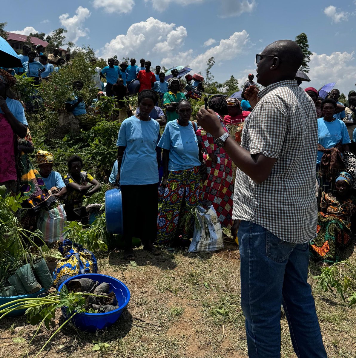 FXBRwanda's tweet photo. In alignment with the @RwandaGov initiative to plant 65 million trees, to combat climate change and conserve the environment, @FXBRwanda and partners, through #REPES/VillageFXB Musambira project, distributed 26,480 trees; 6,620 papaya, 6,620 tomato trees, 6,620 grevillea, and 6,620 calliandra seedlings to 1,323 project participants from @Kamonyi district. Each household received 20 trees (5 of each type) to prevent malnutrition and environmental conservation. An additional 3,000 passion fruit and 2,500 avocado seedlings will be distributed in December 2024
@EnvironmentRw @FXBIntl
#GreenRwanda #ClimateAction #Endingmalnutrition