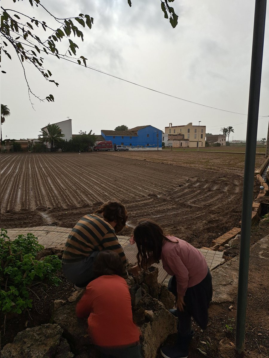 Eugenia Bayarri tweet media