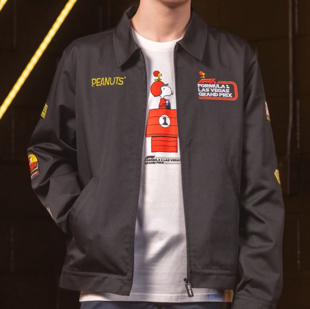 505NORRIS's tweet photo. yall, peanuts x formula 1 collab for vegas gp is so cute😭😭 https://t.co/z8W7lilyzH