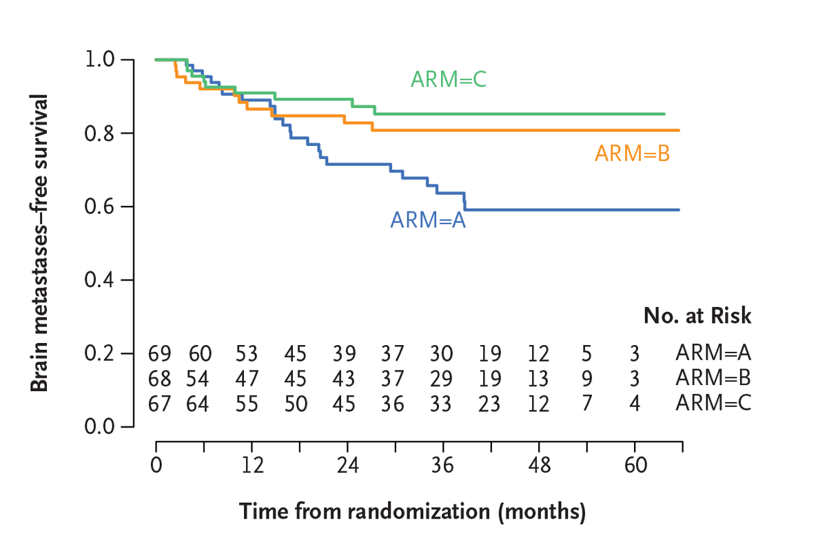 NEJM Evidence (@nejmevidence) on Twitter photo In patients with unresectable melanoma, treatment with ipilimumab + nivolumab ➡️ encorafenib + binimetinib on progression was associated with longer periods of new brain metastases-free survival than the reverse sequence. Results by <a href="/PAscierto/">Paolo A. Ascierto</a> et al.: eviden.cc/3XTlAKB In patients with unresectable melanoma, treatment with ipilimumab + nivolumab ➡️ encorafenib + binimetinib on progression was associated with longer periods of new brain metastases-free survival than the reverse sequence. Results by <a href="/PAscierto/">Paolo A. Ascierto</a> et al.: eviden.cc/3XTlAKB