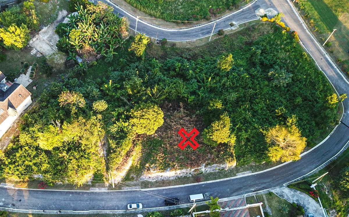 RoTheRealtorJa's tweet photo. WEDNESDAY WISDOM: “Always ask yourself "What will happen if I do nothing?"

Located in the upscale gated community of #NegrilEstate is this beautiful 0.19 acres, ocean view residential lot

Let's talk 🇯🇲🏡
#Westmoreland #Negril #Landforsale 
MLS73507 Powered by @kellerwilliamsj https://t.co/ufJAImED91