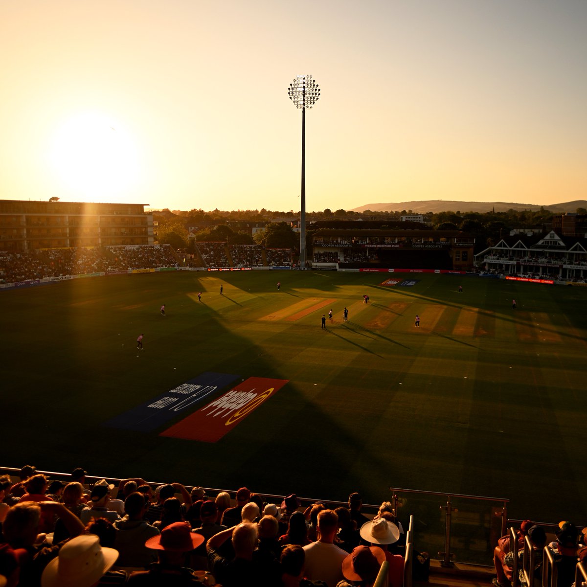 Somerset Women tweet media