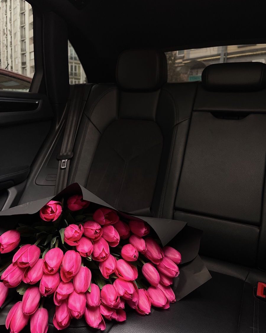 i3Moment's tweet photo. Pink Tulips 🌷 https://t.co/lyrb7msVcP