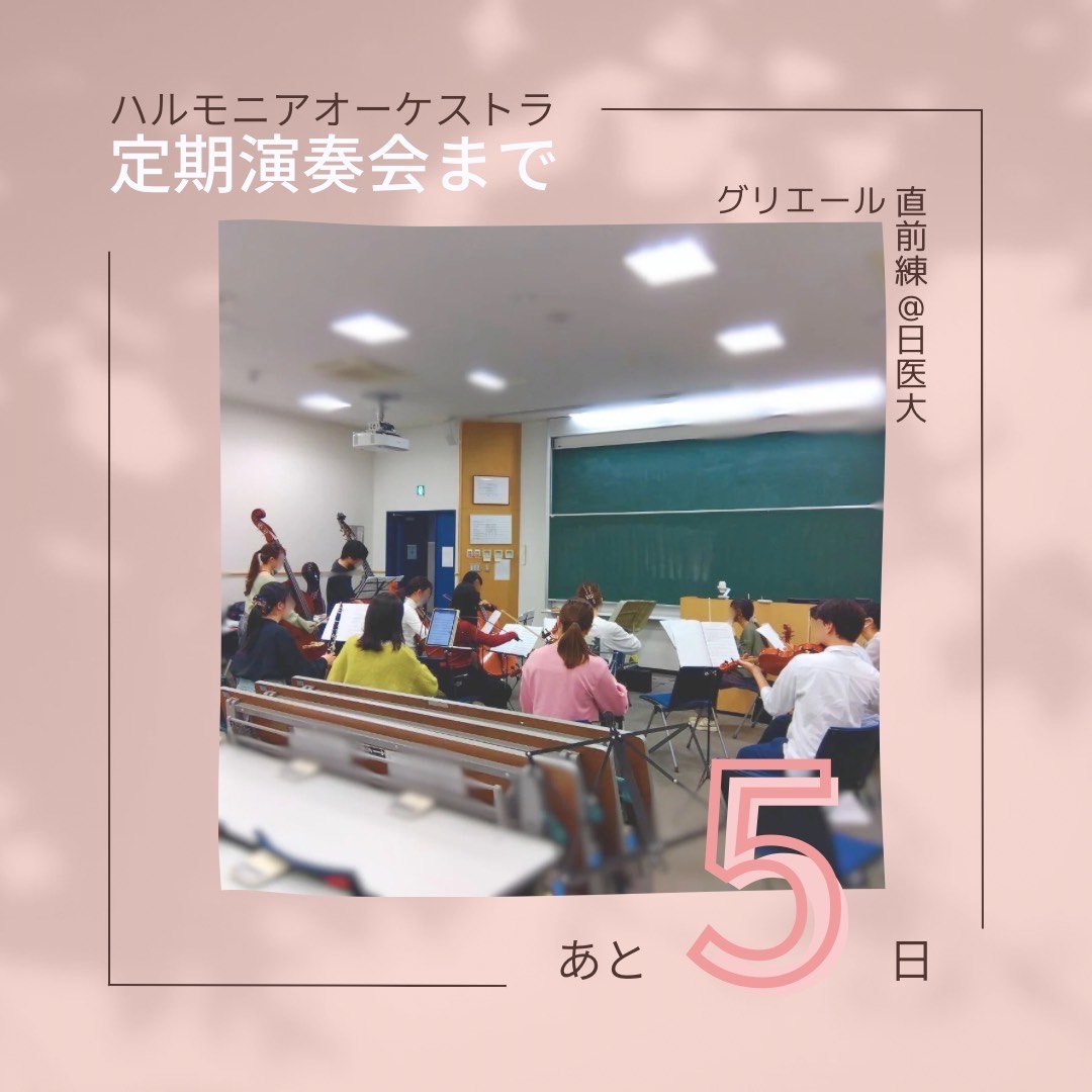 harmonia_orch's tweet photo. 定期演奏会まであと5日！

今日はホルン協奏曲を練習しました！
当日はソリストである関澤麻衣さんの美しい演奏をよりひきたたせられるよう、頑張りますので、ぜひ聴きにいらしてください！ https://t.co/194UXCyg9a