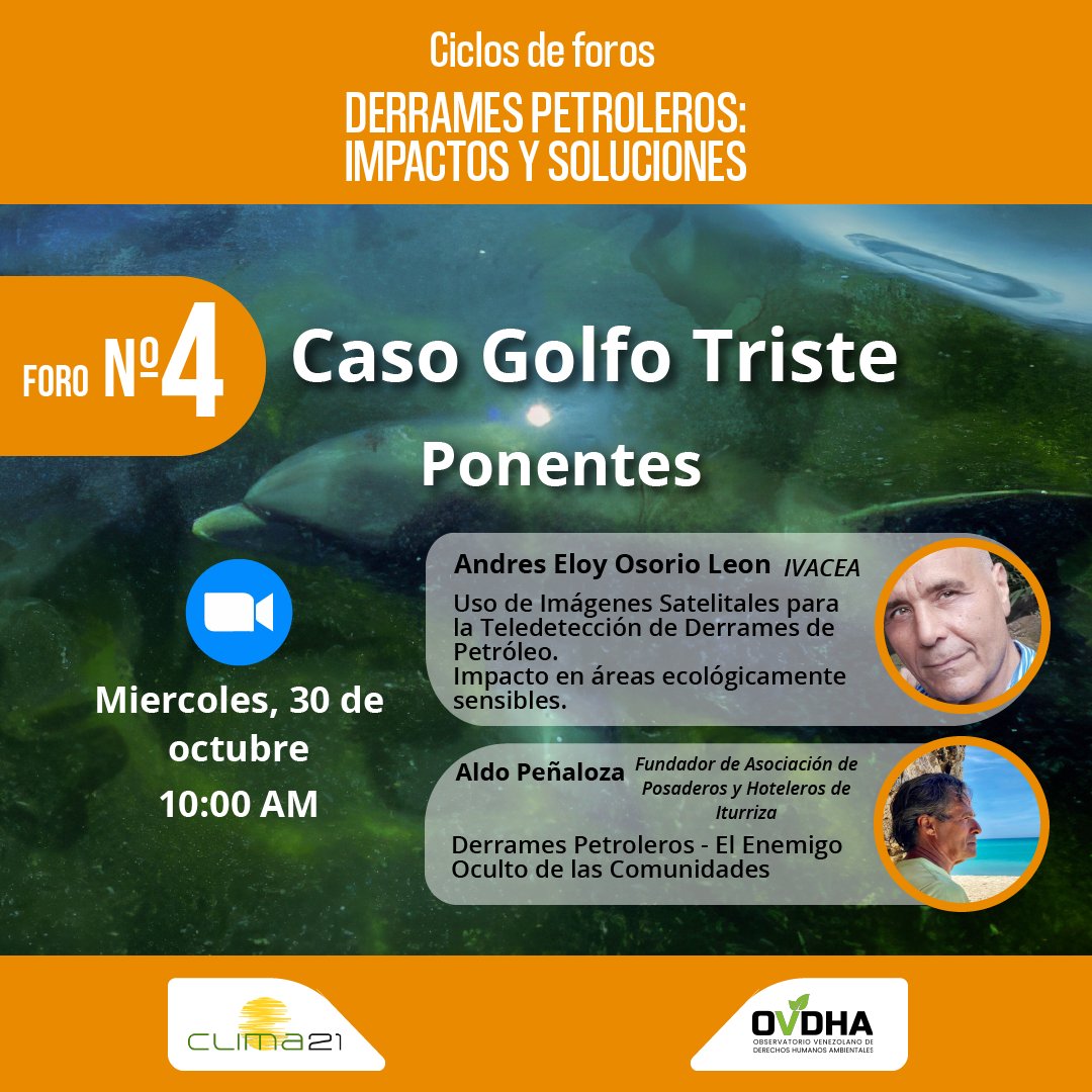 Observatorio VDHA tweet media