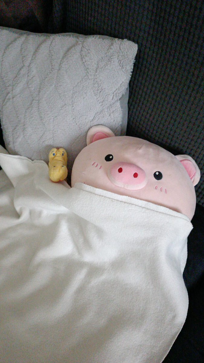 Si alguien quiere saber cómo somos en mi familia solo diré que tapamos a los peluches cuando hace frío 
(Foto sacada por mi madre, artista mi hermano)