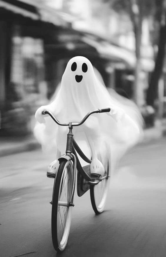 MerryIsBack's tweet photo. Good morning, y'all!! ☕️☕️☕️🌞
Happy Wednesday, we're almost there!
Prep for the crazy and pedal hard, we ain't seen nothing yet...
✌️🫶👻🍿
#VoteEarly
#MAGA 🇺🇲
#Trump2024
#TakingItBack 💥 https://t.co/3Fh2bp7Vbn