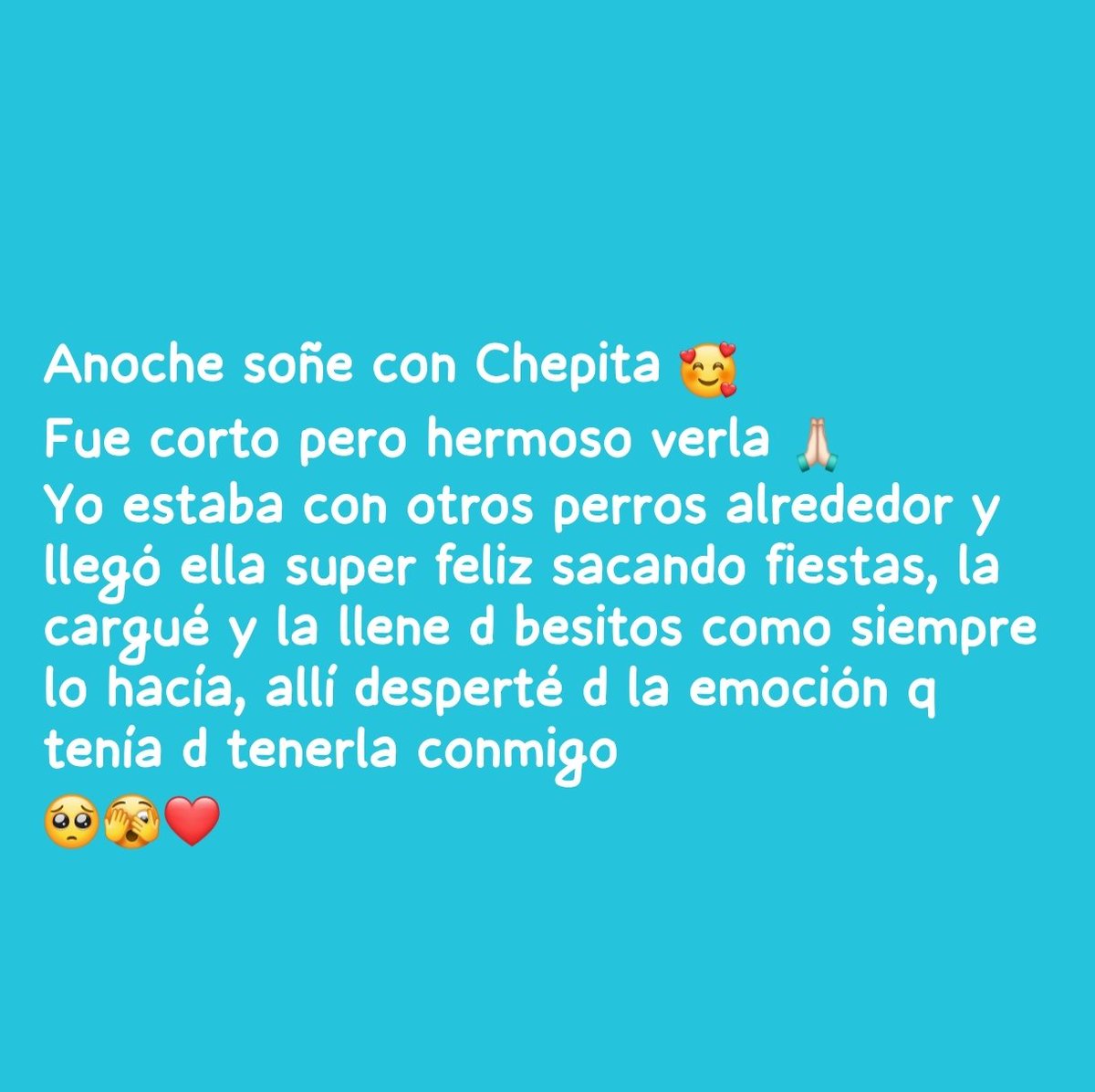 Panda Jaramillo tweet media