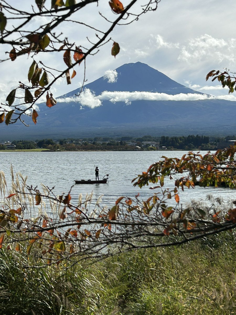 miriam steimer tweet media