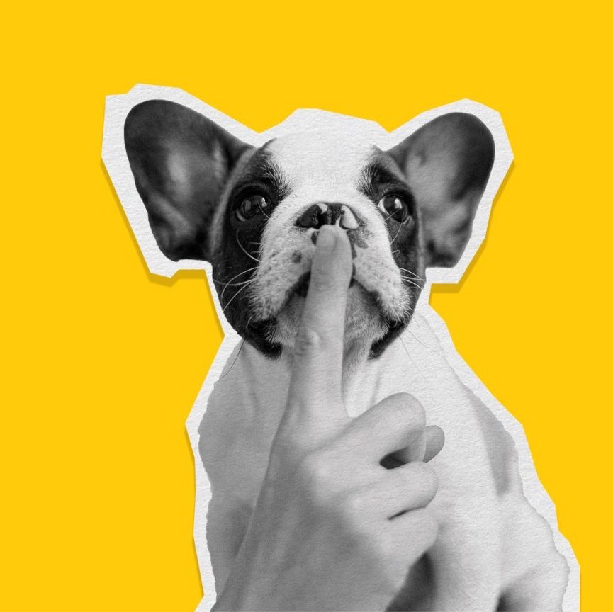 plz_plzzz's tweet image. #NewProfilePic