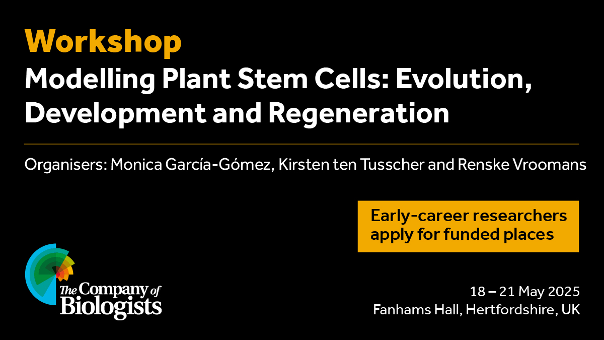 The Company of Biologists (@co_biologists) on Twitter photo Just 2 weeks left to apply for your funded ECR place at our Workshop 'Modelling Plant Stem Cells: Evolution, Development and Regeneration' organised by @moneralee, <a href="/khwjtuss/">Kirsten ten Tusscher</a> & @RenskeVroomans
More at biologists.com/workshops/may-… Just 2 weeks left to apply for your funded ECR place at our Workshop 'Modelling Plant Stem Cells: Evolution, Development and Regeneration' organised by @moneralee, <a href="/khwjtuss/">Kirsten ten Tusscher</a> & @RenskeVroomans
More at biologists.com/workshops/may-…