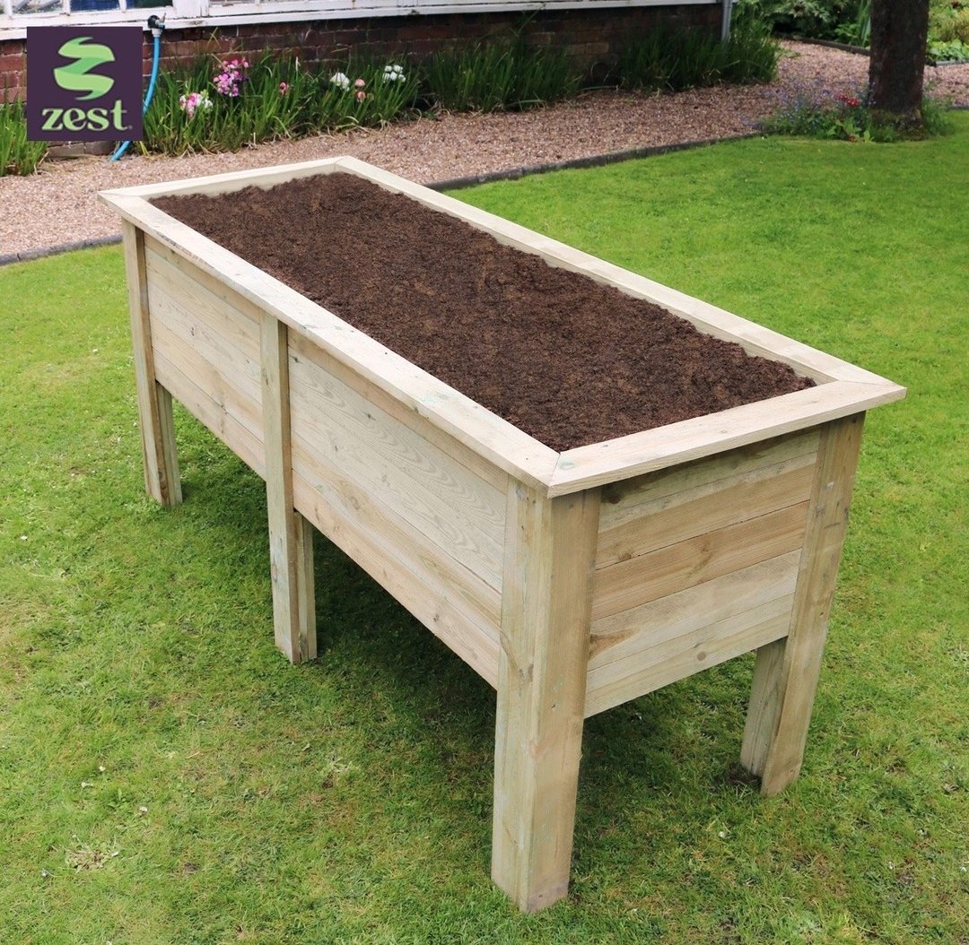 What spring bulbs would you plant in here?