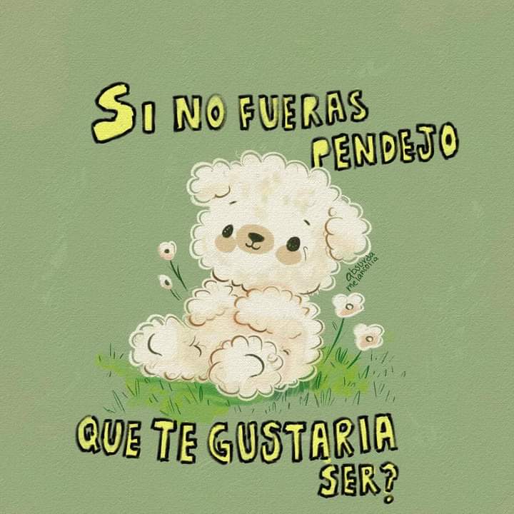 absurdamela's tweet photo. https://t.co/ssUV9AMr2i