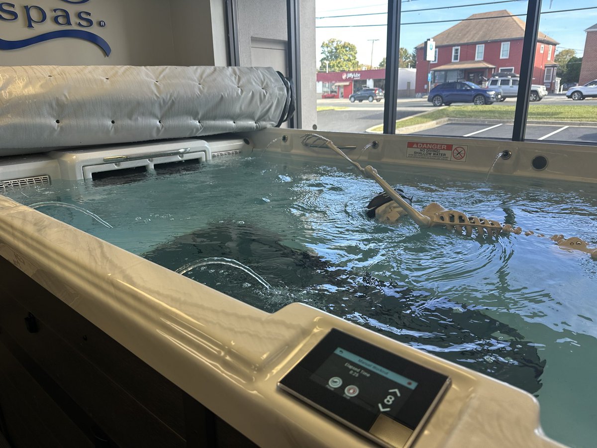 Captain Humerus keeps slim with a swim in our @pdc_spas swim spa. You can workout in one of our swim spas by walking, running, swimming, and more. Stop in for your own test swim. #reginapoolsandspas #pdcspas #pdcswimspas #swimming #halloween #humerus