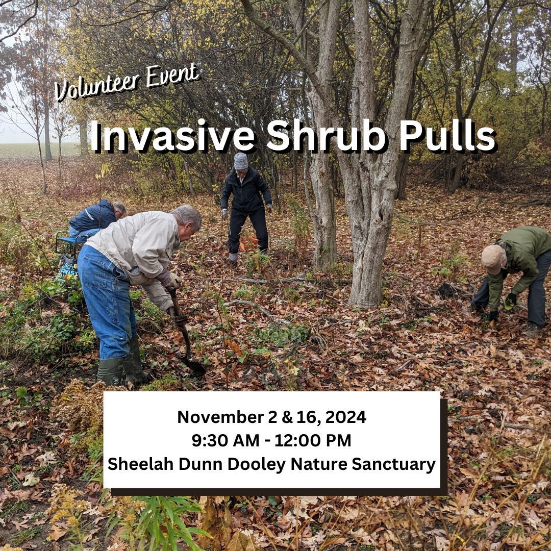 Hamilton Naturalists' Club (@hamiltonnature) on Twitter photo Join us this Saturday for a #volunteer session at the nature sanctuary! Work will focus on invasive shrub removal but there's something for everyone. Equipment provided.
📅 Nov 2, 2024 | 9:30 AM - 12 PM
📍 Sheelah Dunn Dooley Nature Sanctuary
✉️ RSVP to land@hamiltonnature.org Join us this Saturday for a #volunteer session at the nature sanctuary! Work will focus on invasive shrub removal but there's something for everyone. Equipment provided.
📅 Nov 2, 2024 | 9:30 AM - 12 PM
📍 Sheelah Dunn Dooley Nature Sanctuary
✉️ RSVP to land@hamiltonnature.org