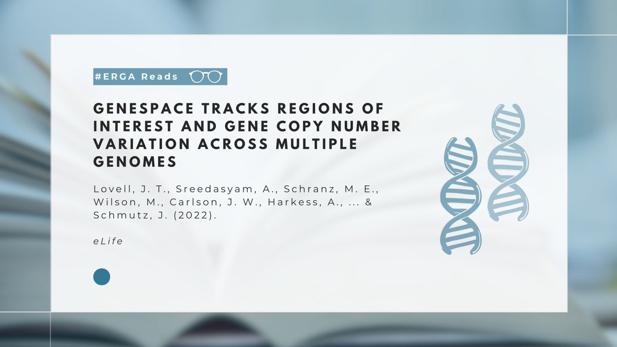 #ERGAReads | Too many genomes to analyze?! 

GENESPACE is an important tool in our #comparative #genomics toolbox🔧⚙️It integrates conserved gene order and orthology to help define the expected physical position of genes across multiple #genomes.➡️elifesciences.org/articles/78526