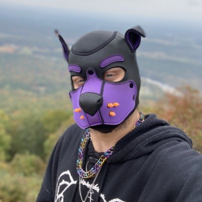PubbyHank's tweet photo. #NewProfilePic https://t.co/fvFlxwsdko