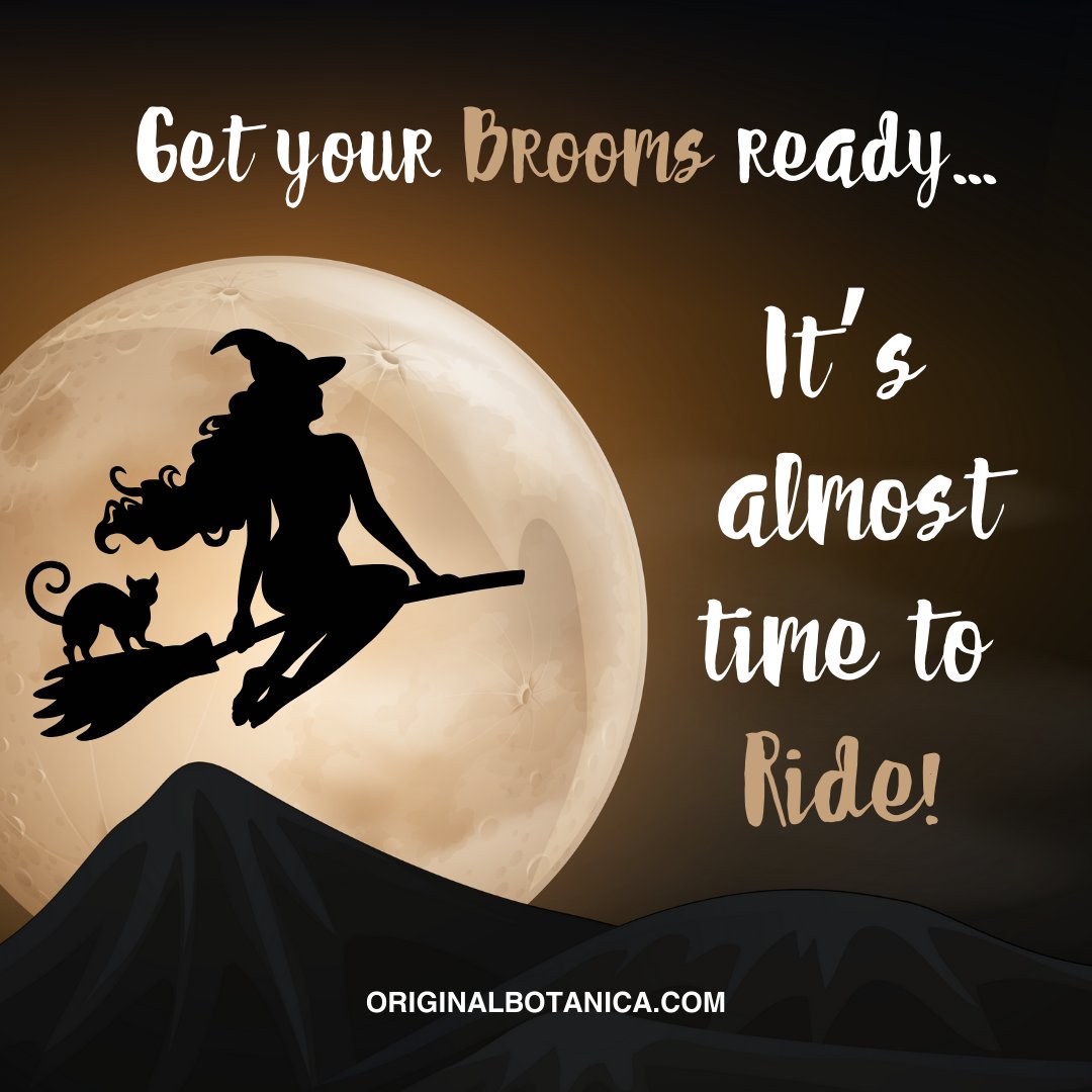 BotanicaOrigina's tweet photo. Let's Go! ๐งน๐
.
.
#allhallowseve #halloween #thinveil #dayofthedead #brujeria #brujas #brujos https://t.co/EIyexBw6nC