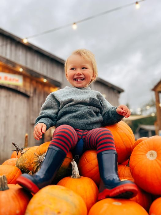 PennywellFarm's tweet photo. 🎃 PLENTY OF PUMPKINS ripe for the picking at the Pennywell Pumpkin Festival! 😍

Come join the fun and find your perfect pumpkin just like this happy little picker! 🍂🎃

#PennywellPumpkinFestival #FallFun #PumpkinPicking https://t.co/DUgkaFTORk