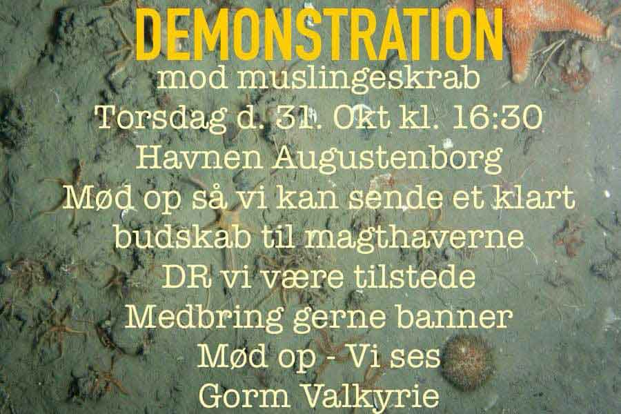 Demonstration mod muslingeskrab trækker medierne til dlvr.it/TFtXQX