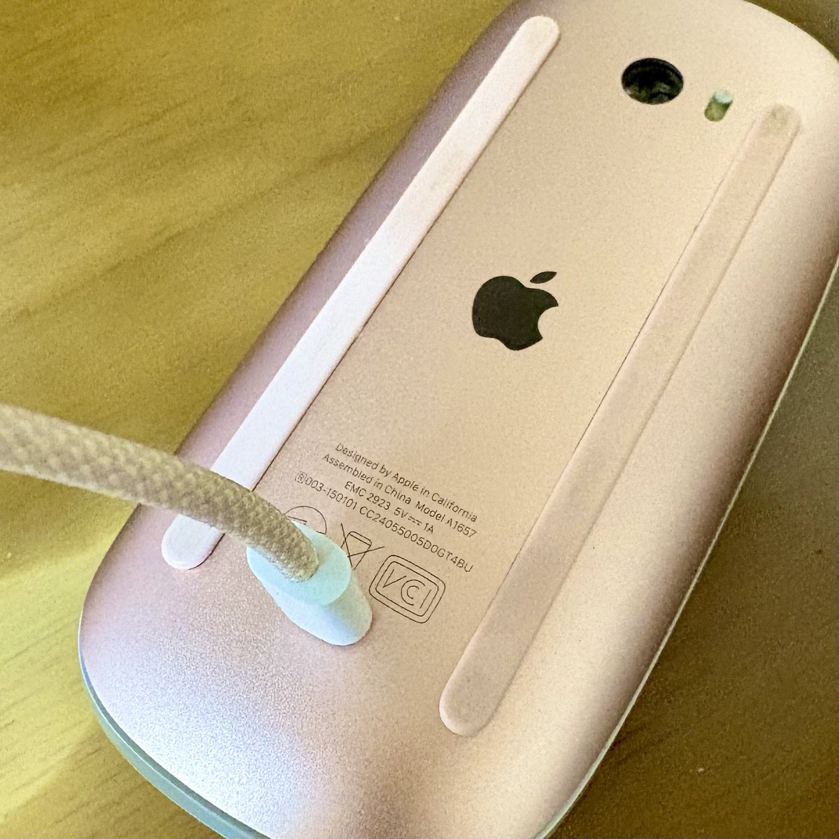 PLATZ's tweet photo. Appleが早くも新しいiMacを発表！マウスやキーボードのコネクタがLightningからUSB-Cに変更になったらしいんだけど、相変わらずの背面……。このひっくり返った虫みたいの、どうにかならんか。充電中は何もできんし😕 https://t.co/IxYK6JZLi9
