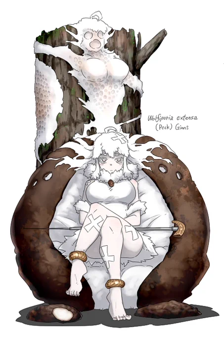 てことで「Wolfiporia extensa (ブクリョウ)」擬人化の「艸伏 苓 (クサブク リョウ)」嬢です。縦書きすると艸伏苓で「茯苓」と読めるようにしました。菌核と子実体、両方掲載できたのは嬉しい。何とか子実体を再発見して顕微鏡観察したいところだ。 