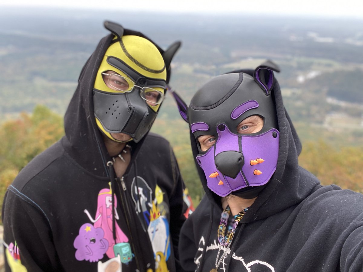 PubbyHank's tweet photo. I got to spend my hooman birthday with this wonderful pubby 💜 he and another good friend made turning 27 worth it, and I can’t say how thankful I am to have someone as silly and weird as me to be with all the time 🤣🥰 https://t.co/UpBeU6k6OG