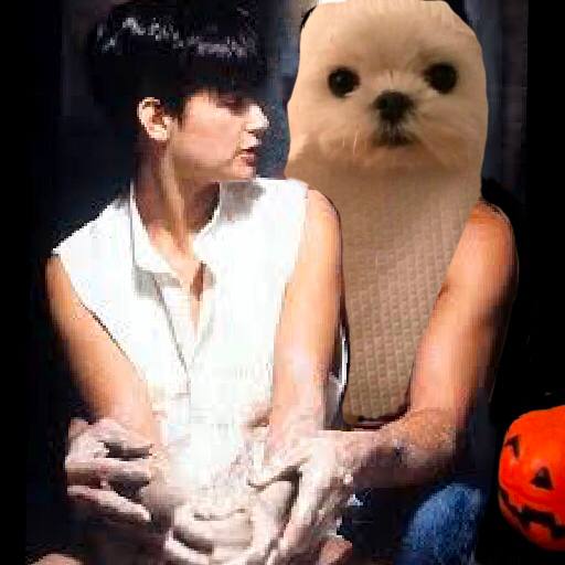 Official BOO CTO tweet media