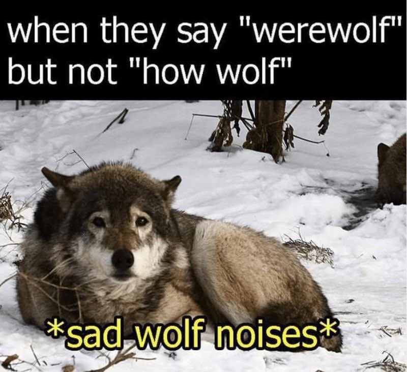 Admin got busy with work lately and now will be at a Convention for two days I am sorry for late replies! 💕