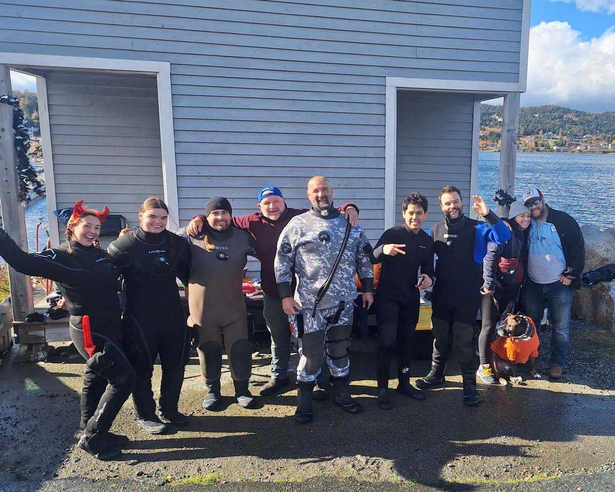 Ocean Quest tweet media