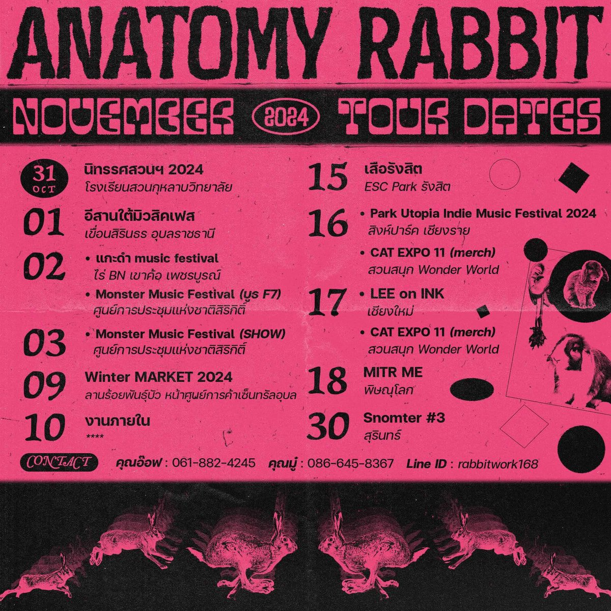 AnatomyRabbit tweet media