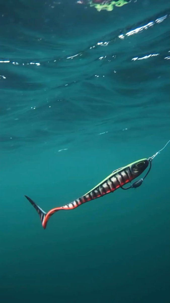 tackle_net's tweet image. Would you fish this bait?🎣 @nays_baits . . . #custombaits #swimbait #customswimbaits #handmadelures #customlures #baitmaking #bigfish #fisherman #fishingtrip #luremaking #fishinglure #fishinglures #lurebuilding #bassfishing… instagram.com/reel/DBwAtzWtP… tackle.net